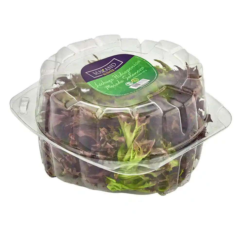 Lechuga Morada Pet Salanova Kosher Makand