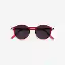 Izipizi Gafas Sun D Rojo Rosy +0.00