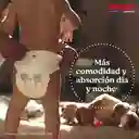 Pañales Huggies Active Sec Pants Etapa 6/XXXG Comodida 25 Und