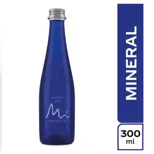 Agua Manantial 300 Ml.