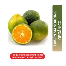 Limón Mandarino Orgánico