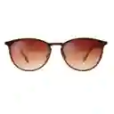Gafas de Sol Foster Grant Cc 18 05