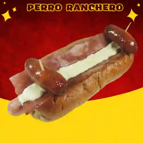 Perro Ranchero