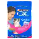 Cat Chow Alimento Seco para Gatitos