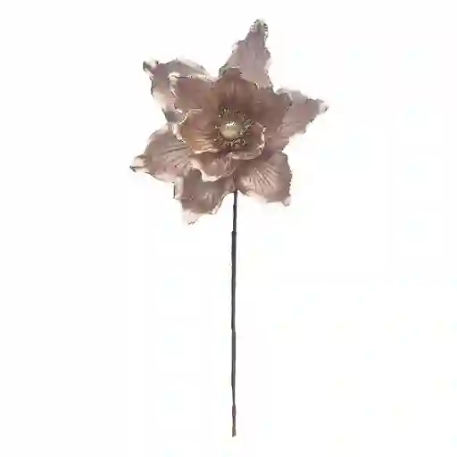 Flor Magnolia Garden Krea