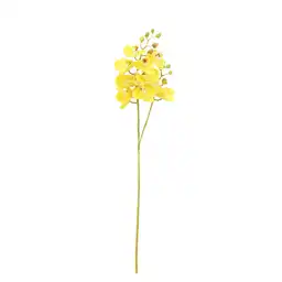 Orquidea Gio Home Mini Amarillo