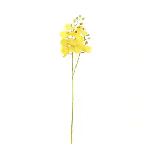 Orquidea Gio Home Mini Amarillo