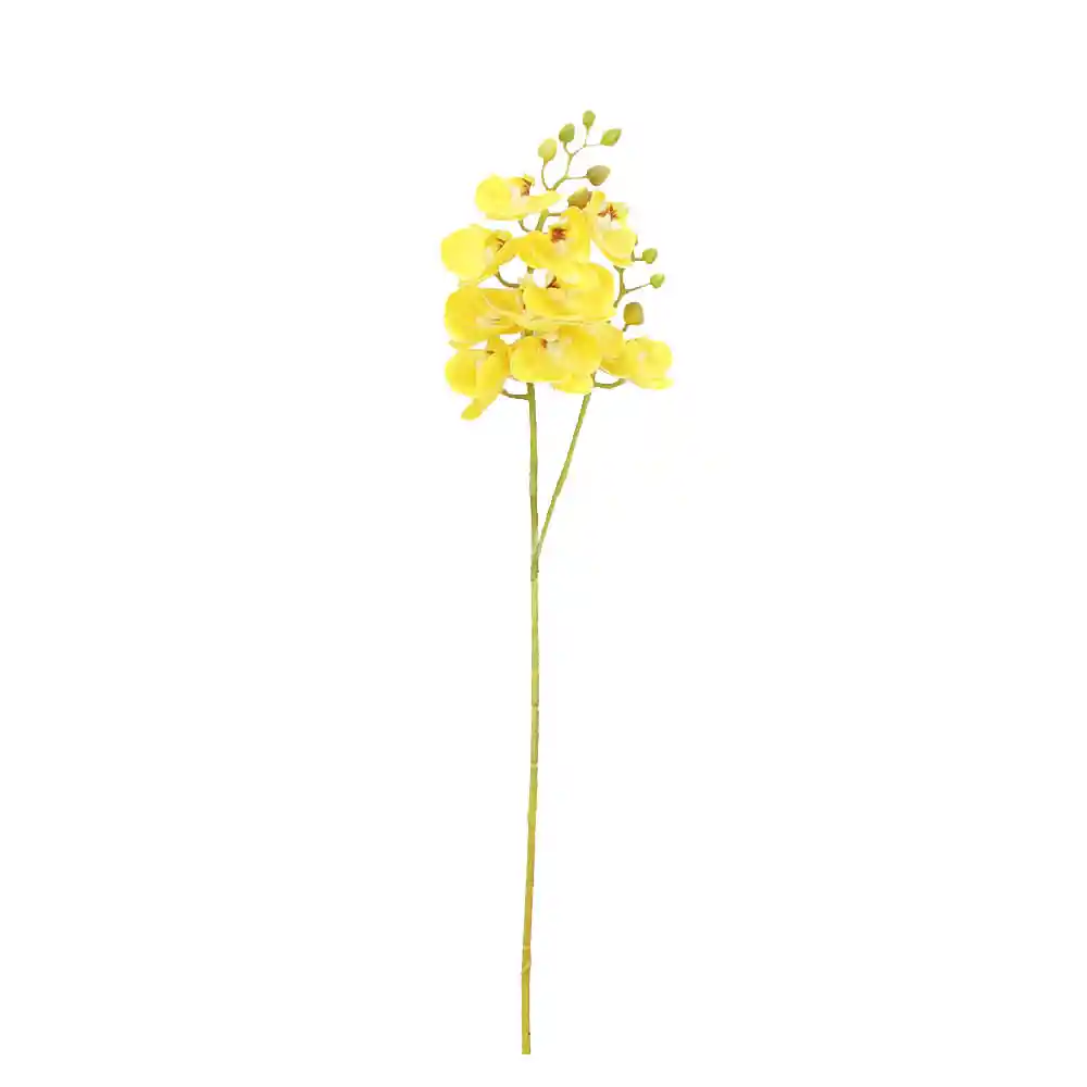 Orquidea Gio Home Mini Amarillo
