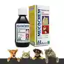 Mucochem Solución Oral Uso Veterinario (0.2 g/2g/120 mL)
