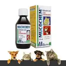 Mucochem Solución Oral Uso Veterinario (0.2 g/2g/120 mL)