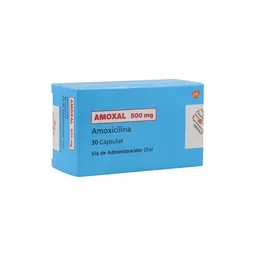 Amoxal (500 mg)