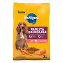 Pedigree Alimento Perro Adultos Pavo Salmón