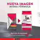 Comida para perros EXCELLENT ADULT Razas Pequeñas x 3 kg