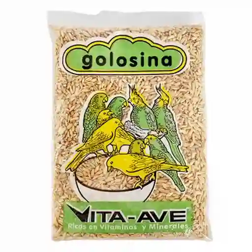 Vita Ave Golosina Alimento para Aves