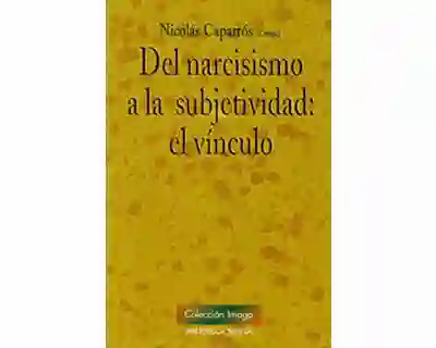 Del Narcisismo a La Subjetividad El Vínculo