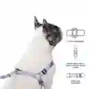 Arnés Para Perro Brunno Xl Morado