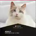 Comida para Gatos Adultos Purina Pro Plan x 1,5 kg