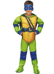 Disf Leonard Teenage Ninjaturtle Fantastic Night 1811