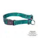 Collar Ajustable Para Perro Mylu S Verde