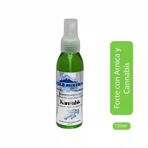 Linimento Hielo Mineral Forte Cannabis Spray