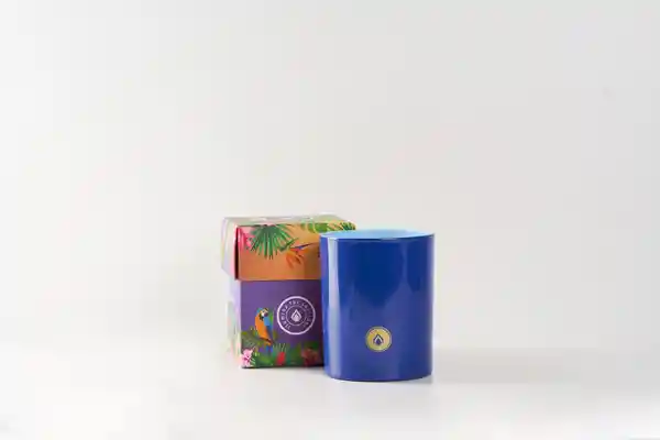 Iluminata Vela Vaso Azul Oscuro Euphoria 91