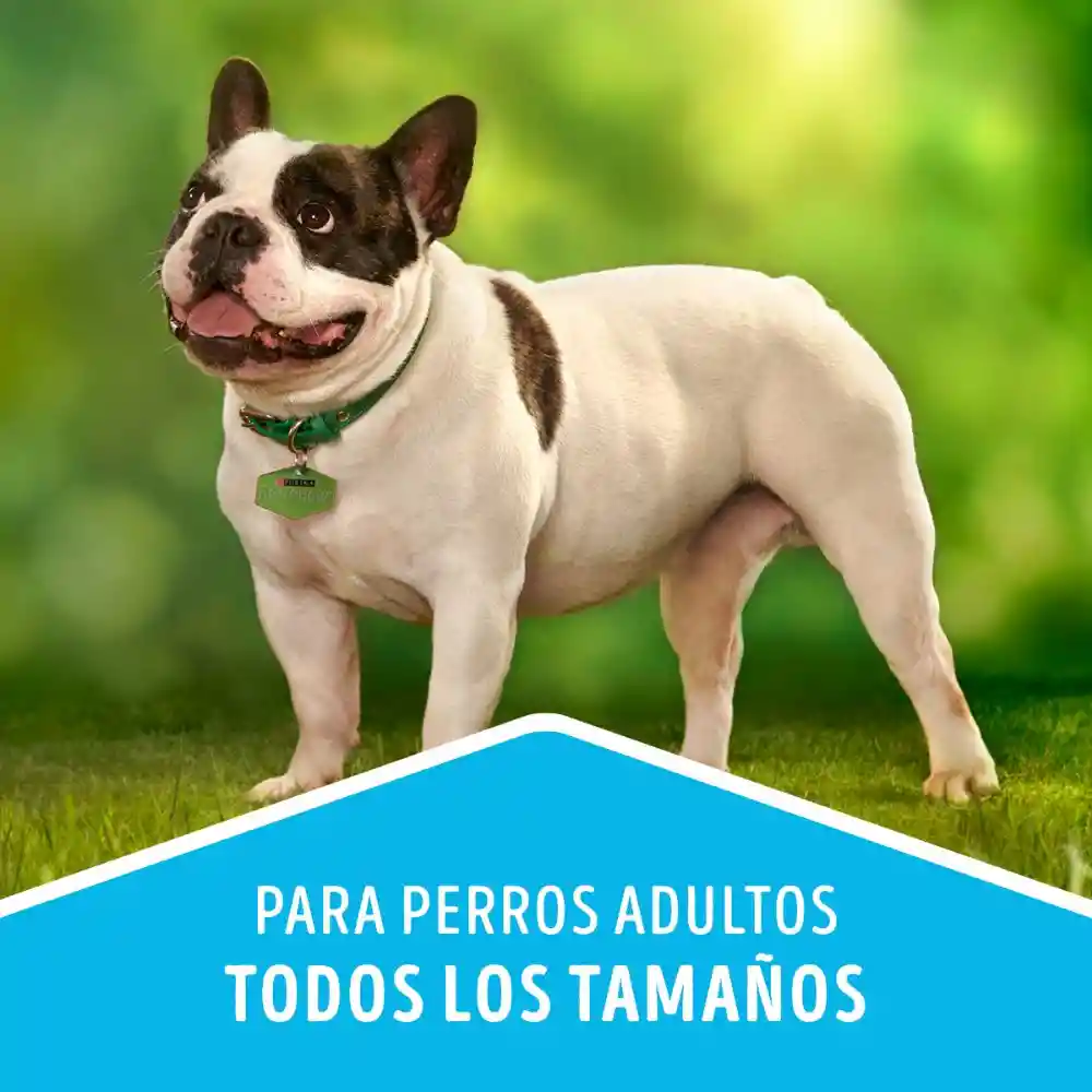 Comida para perro Dog Chow control de peso (Light) x 8 kg