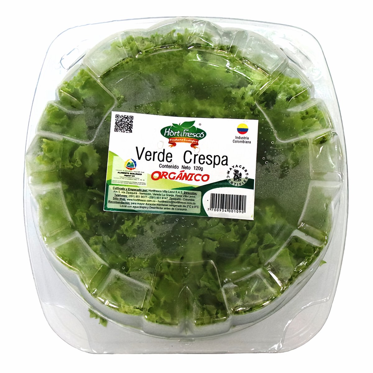 Hortifresco Lechuga Verde Crespa 120 g
