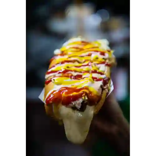 Combo Perrito