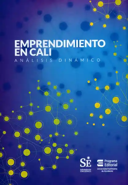 Emprendimiento en Cali. Análisis dinámico