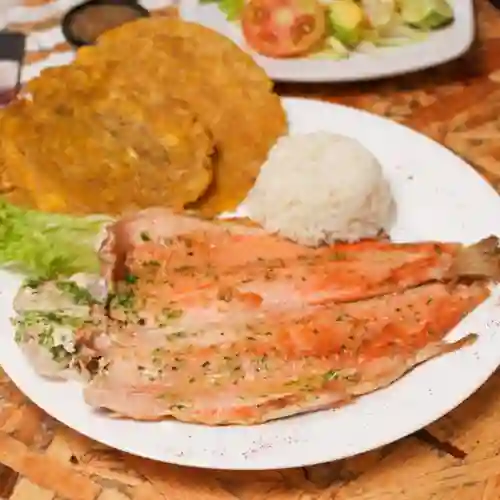 Trucha 400 gr