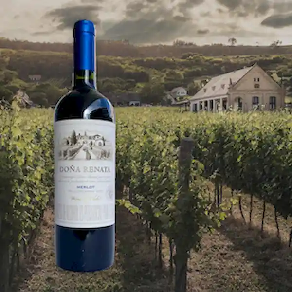 Doña Renata Vino Tinto Merlot