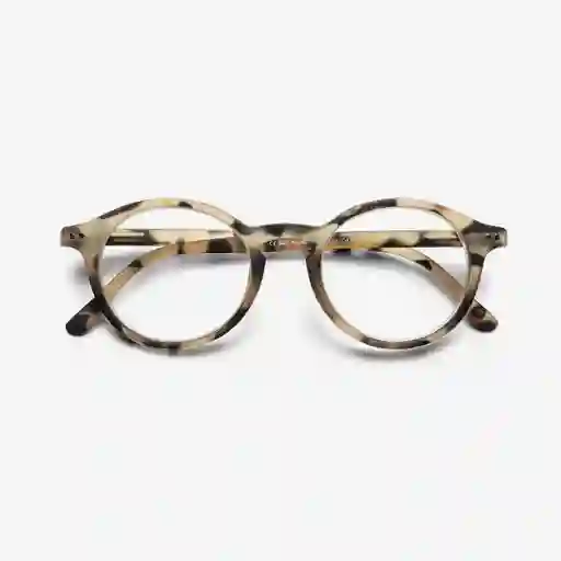 B+D Gafas Reading Loop Sandy Carey + 2.50