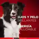 Comida para perro Purina One adultos minis y pequeños Pollo y Carne X 500gr