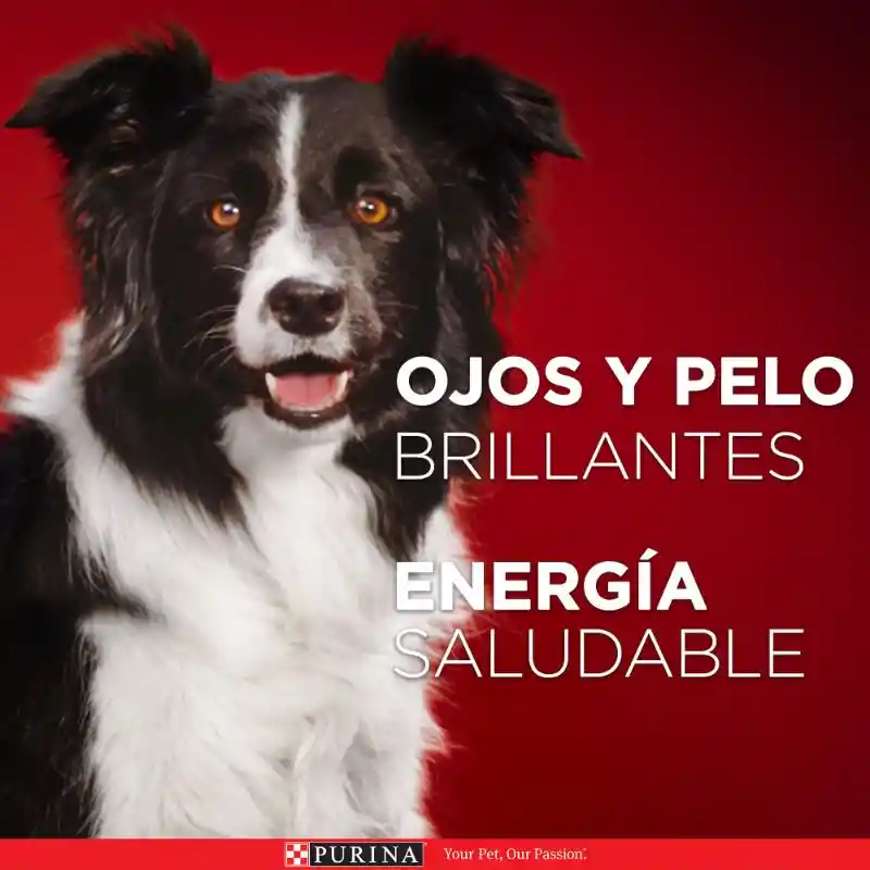 Comida para perro Purina One adultos minis y pequeños Pollo y Carne X 500gr
