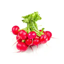 Biohuerto Rábano Rojo Orgánico