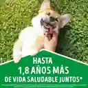 Comida para perro Dog Chow Adulto medianos y grandes x 22,7 kg