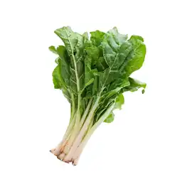 Acelga Éxito