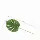 Ambiente Gourmet Figura Mini Hoja Monstera