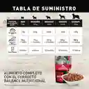 Nutriss Alimento Para Perro Adulto Salsa Carne