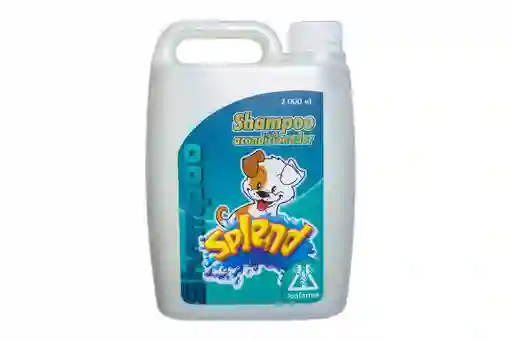 Splend Shampoo Acondicionador Galón
