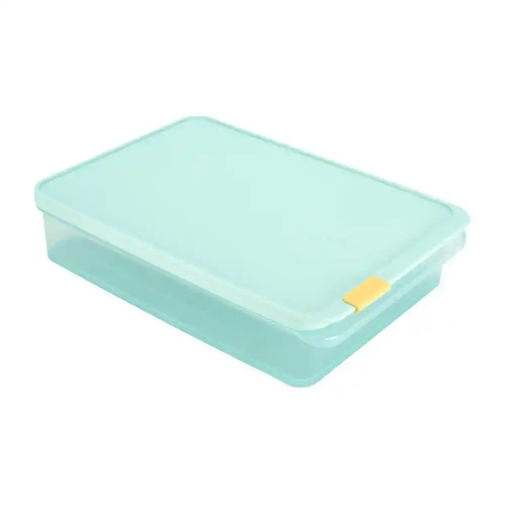 Recipiente Freezer Fit Lock & Lock 4-1054706