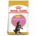 Royal Canin Feline Breed Nutrition Dry Maine Coon Kitten