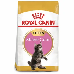 Royal Canin Feline Breed Nutrition Dry Maine Coon Kitten