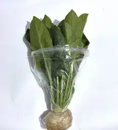 Espinaca Hidropónica