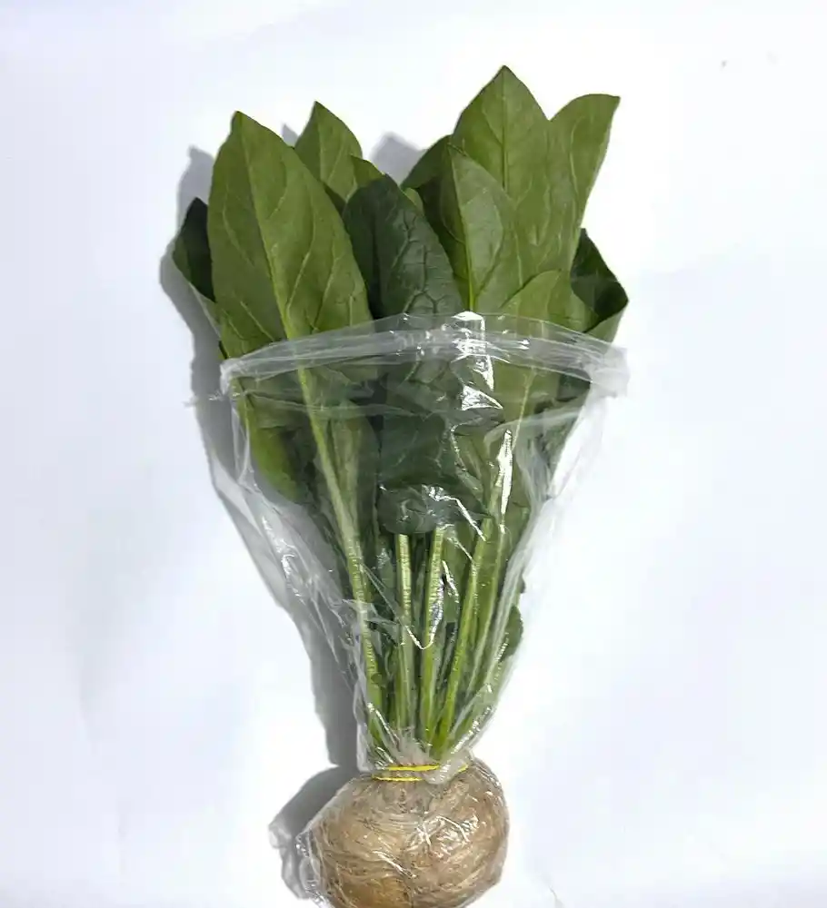 Espinaca Hidropónica