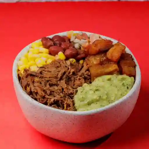 Bowl carnívoro