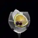 Ginebra Monkey