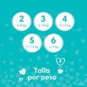 Pampers Baby Dry Pañales Talla 6