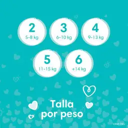 Pampers Baby Dry Pañales Talla 6