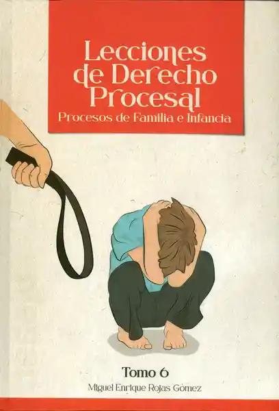 Lecciones De Derecho Procesal. Procesos de Familia e Infancia. Tomo 6